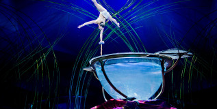 Circus in town Circus in town