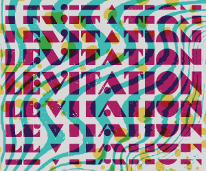 LEVITATION2016-300x250