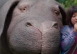 “Okja” & “The Beguiled”
