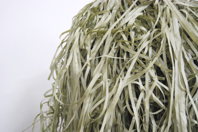 Troy Stanley_Concrete Fields Forever