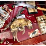 859899_10203034858939429_1103508122_o