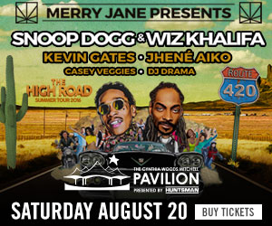 0820_SnoopWiz_CWMP_300x250
