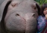 “Okja” & “The Beguiled” “Okja” & “The Beguiled”