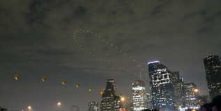 FPSF Gallery, Day 1 FPSF Gallery, Day 1