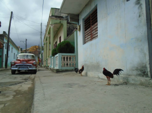 Screen Shot 2025-03-03 at 7.39.35 AM