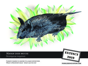 josh palmagrasshopper 18x24 with tagline 11.42.23 AM